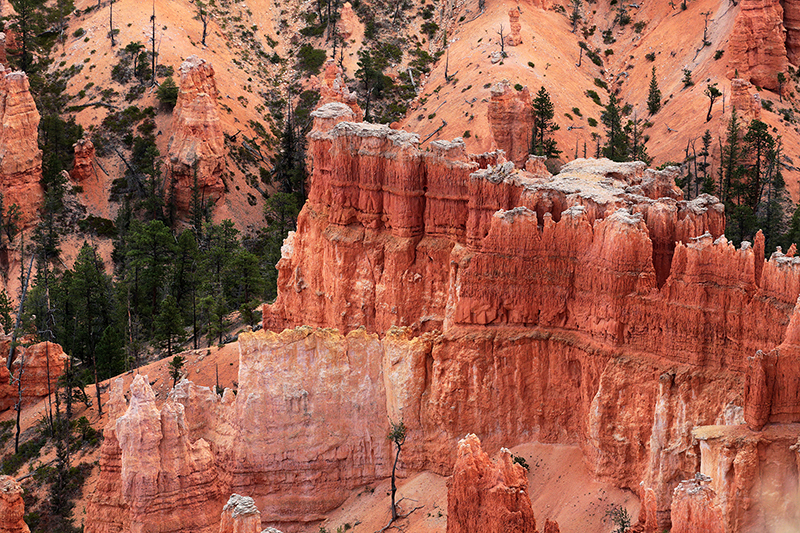 Bryce Canyon : Utah : Landscape Photos : Richard Moore : Photographer